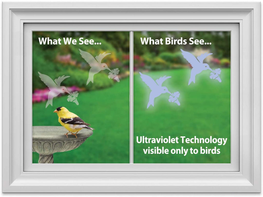 Window Alert | Hummingbird Decal