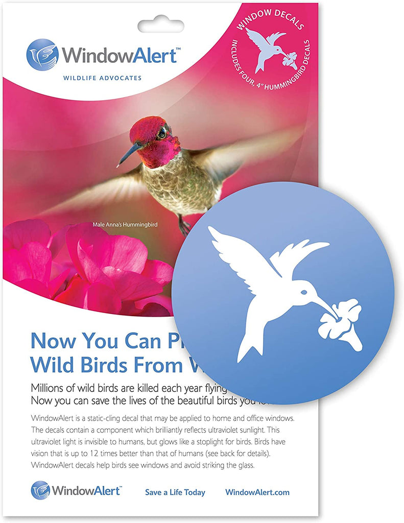 Window Alert | Hummingbird Decal