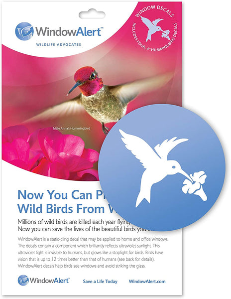 Window Alert | Hummingbird Decal