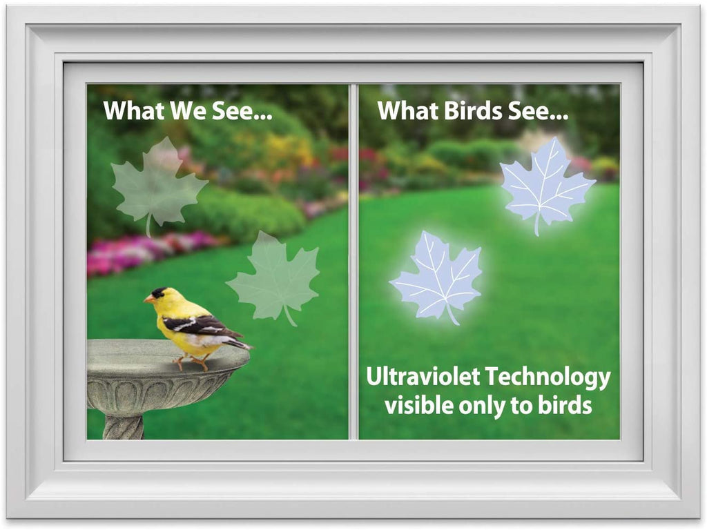 Window Alert | Maple Leaf Decal
