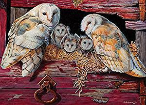 Cobble Hill Bird Puzzles - 1000pc