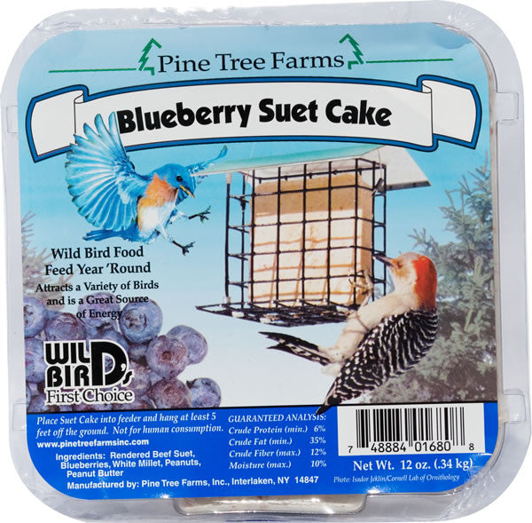 Blueberry Suet Cake 12 oz | Wild Bird Food - Feathered Friends of Santa Fe (www.ffofsf.com)