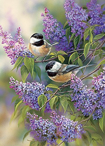 Cobble Hill Bird Puzzles - 1000pc