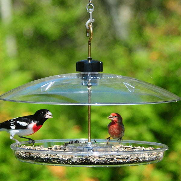 Platform Fly Through Feeder - 13 in. tray