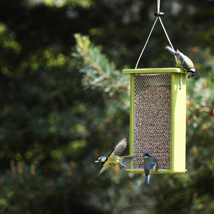 Premium eco sunflower feeder by Chapel Wood