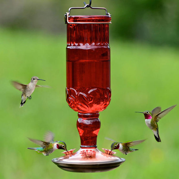 Perky Pet #8119 Red Antique Glass Hummingbird Feeder 24 oz.