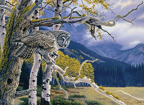 Cobble Hill Bird Puzzles - 1000pc