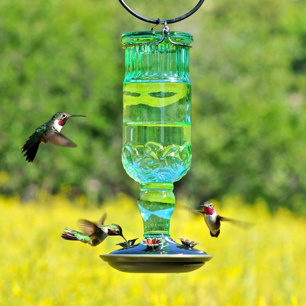 Perky Pet #8120-2 Green Antique Bottle Hummingbird Feeder - 24 oz.
