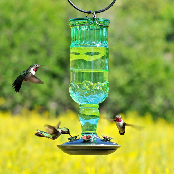 Perky Pet #8120-2 Green Antique Bottle Hummingbird Feeder - 24 oz.