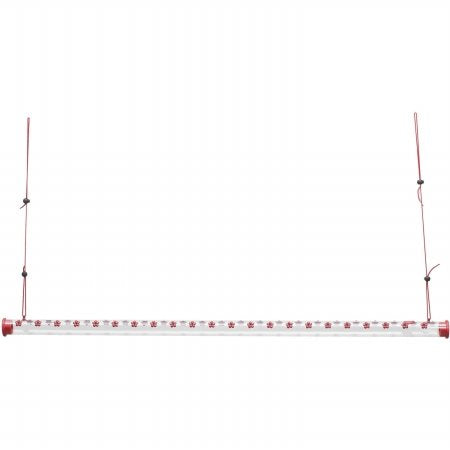 Perky Pet 48 Inch Hummerbar Feeder - 44 ports
