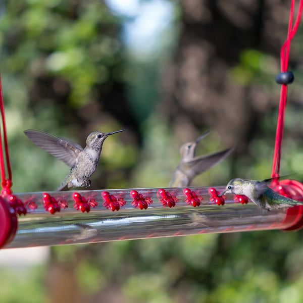Perky Pet 24 Inch Hummerbar Feeder 22 ports
