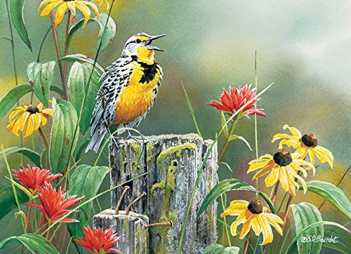 Cobble Hill Bird Puzzles - 1000pc
