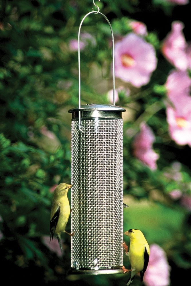 Nyjer Mesh Feeder #371 by Aspects
