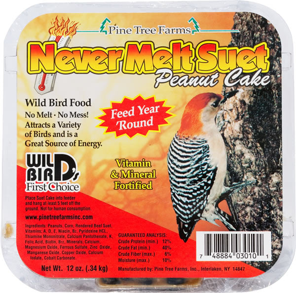 Never Melt Suet | Peanut 12 oz | Wild Bird Food - Feathered Friends of Santa Fe (www.ffofsf.com)