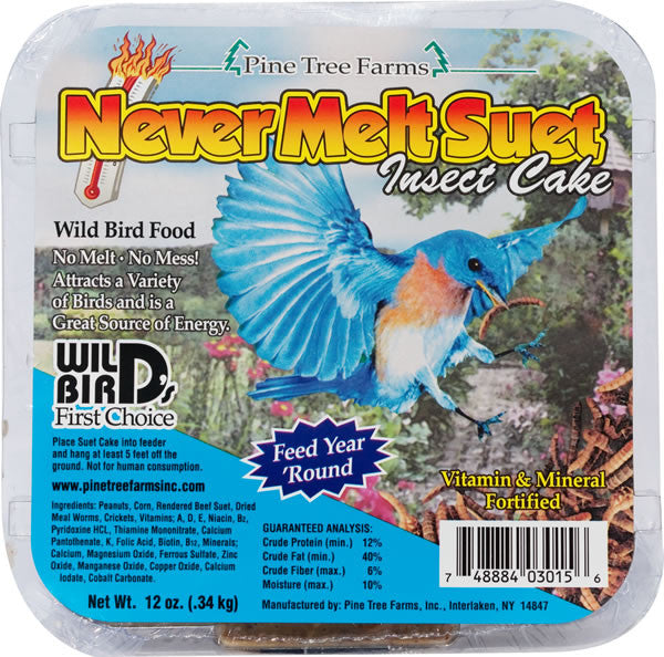 Never Melt Suet | Insect Cake 12 oz | Wild Bird Food - Feathered Friends of Santa Fe (www.ffofsf.com)
