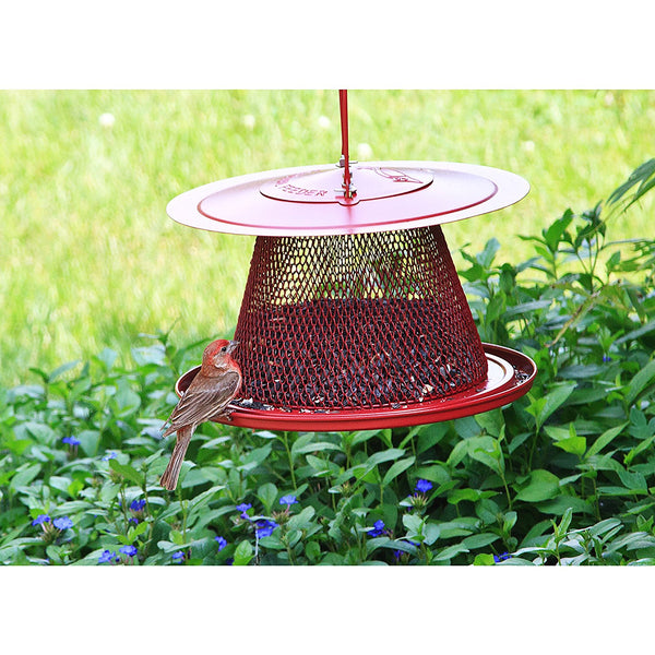 No/No Red Cardinal Bird Feeder