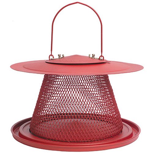 No/No Red Cardinal Bird Feeder