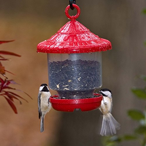 Songbird Essentials Clinger Only Bird Feeder SE7012 & SE7013