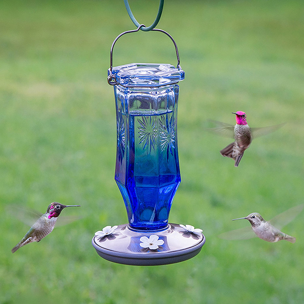 Perky Pet Vintage Sapphire Starburst Hummingbird Feeder - 16 oz.