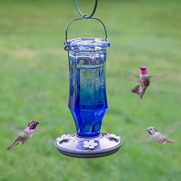 Perky Pet Vintage Sapphire Starburst Hummingbird Feeder - 16 oz.