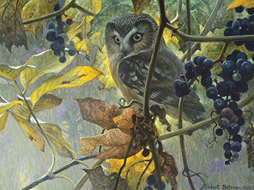 Cobble Hill Bird Puzzles - 1000pc