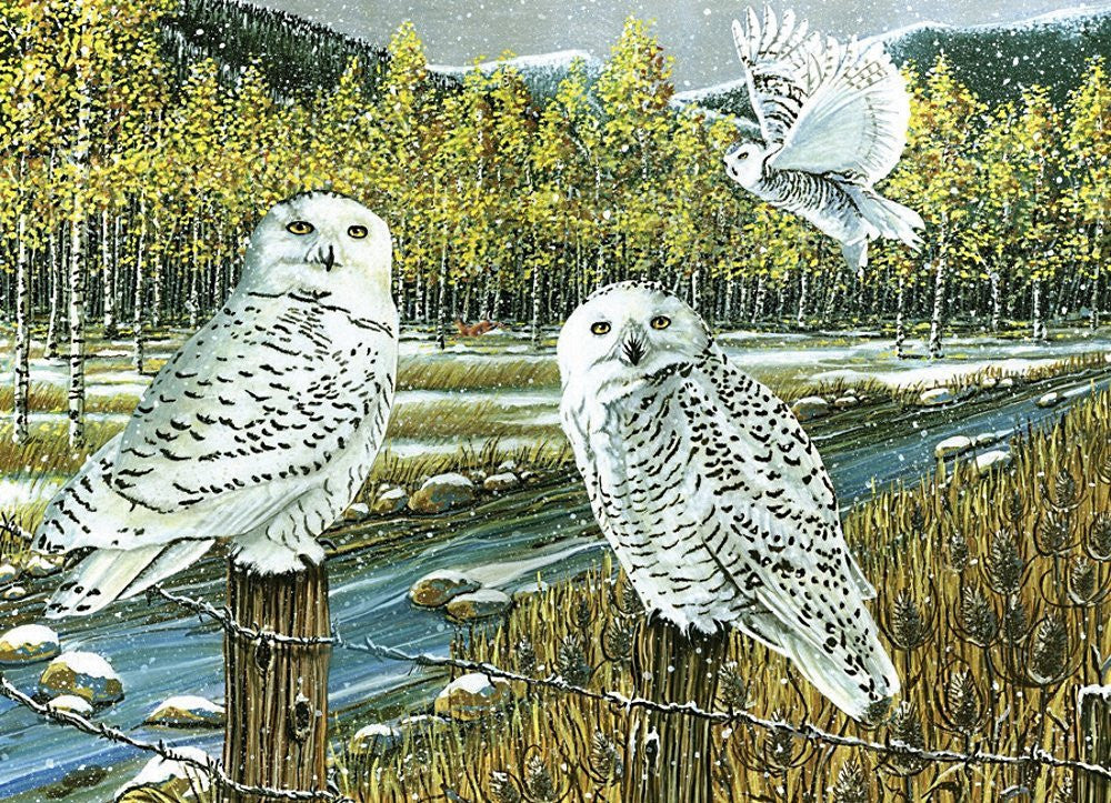 Cobble Hill Bird Puzzles - 1000pc