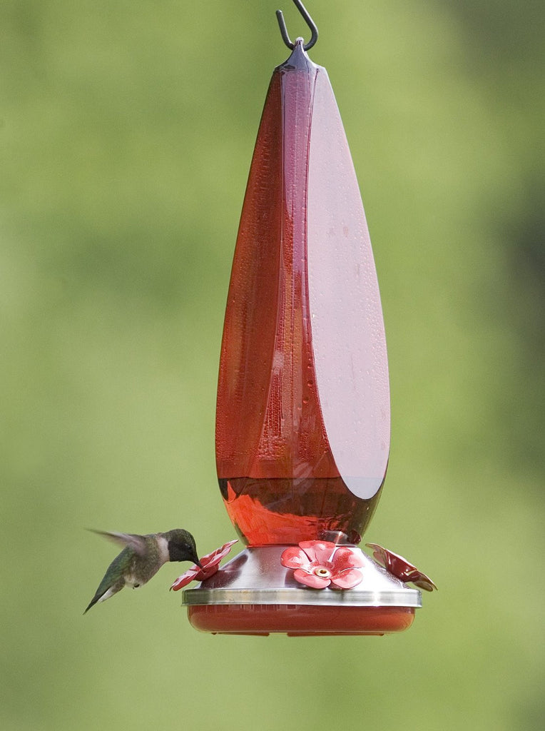 24 oz Ruby Prism Hummingbird Feeder - Feathered Friends of Santa Fe (www.ffofsf.com)