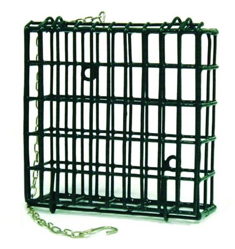 Suet Cake Hanging Feeder 12 oz.