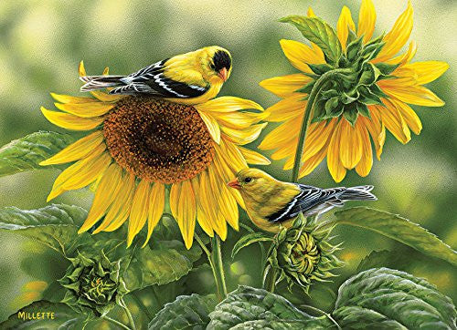 Cobble Hill Bird Puzzles - 1000pc