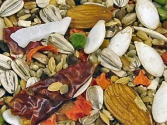 Avian Science Non Vitamin Fortified Super Eclectus Food 4 lb (1.81 kg) - Feathered Friends of Santa Fe (www.ffofsf.com)