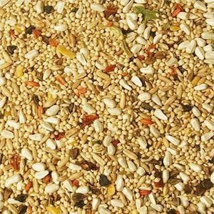 Avian Science Super Cockatiel Food No Sunflower Seeds 4 lb (1.81 kg) - Feathered Friends of Santa Fe (www.ffofsf.com)