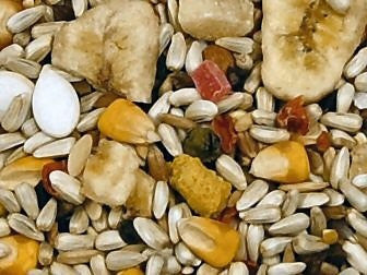 Avian Science Super Hookbill Bird Seed - No Sunflower Seeds 4 lb (1.81 kg) - Feathered Friends of Santa Fe (www.ffofsf.com)