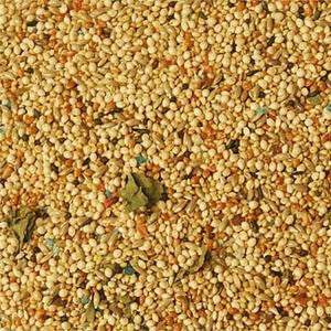 Avian Science Super Finch Food 4 lb (1.81 kg) - Feathered Friends of Santa Fe (www.ffofsf.com)